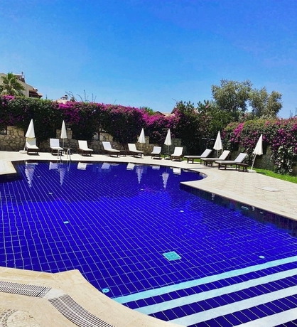 Imagen de la piscina del HIGH VIEW HOTEL. Foto 8