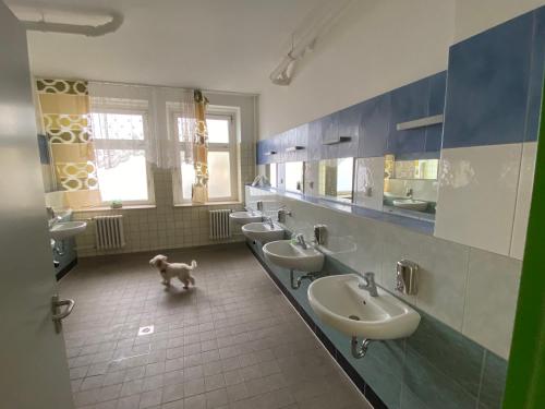 Imagen de la habitación del HOSTEL Wesendorf Residenz. Foto 17