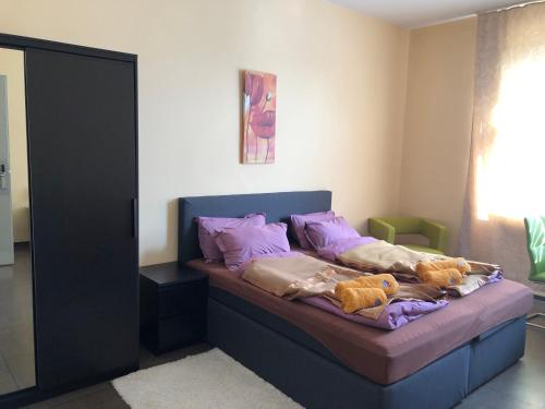 Imagen general del HOSTEL Wesendorf Residenz. Foto 4