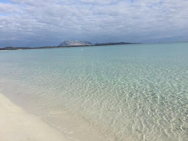 Imagen general del HOTEL AL FARO spiaggia la Cinta SanTeodoro. Foto 20