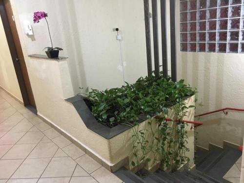 Imagen general del HOTEL CENTER Ribeir&atilde;o. Foto 4