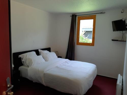 Imagen general del HOTEL DE LA PAIX Lyon Sud Givors. Foto 1