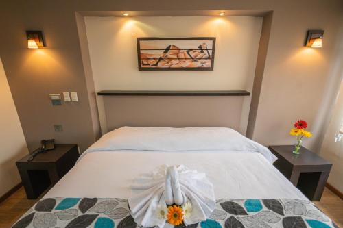 Imagen general del HOTEL ECLIPSE TOLUCA. Foto 13
