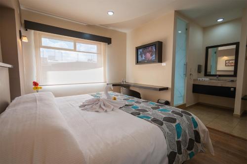 Imagen general del HOTEL ECLIPSE TOLUCA. Foto 15