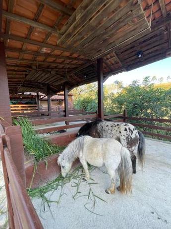 Imagen general del HOTEL FAZENDA ROCHEDO. Foto 7