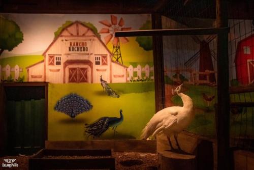 Imagen general del HOTEL FAZENDA ROCHEDO. Foto 8