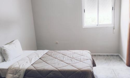 Imagen de la habitación del HOTEL ORIANA. Foto 9