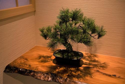 Imagen general del HOTEL ZEN-Adult Only. Foto 5