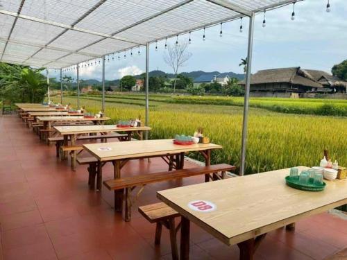 Imagen general del Ha Giang Eco Bungalow. Foto 9