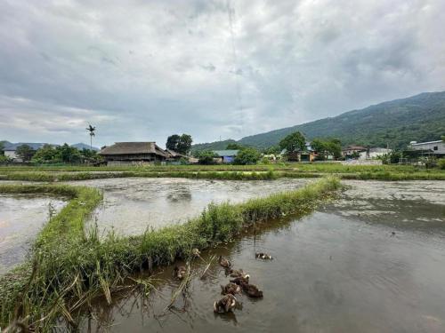 Imagen general del Ha Giang Riverside Homestay. Foto 8