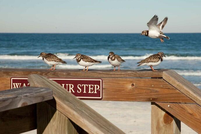 Imagen general del Hacienda del Sol II - 308. Foto 8