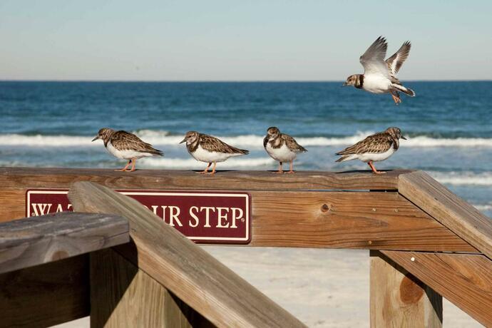 Imagen general del Hacienda del Sol II - 312. Foto 10