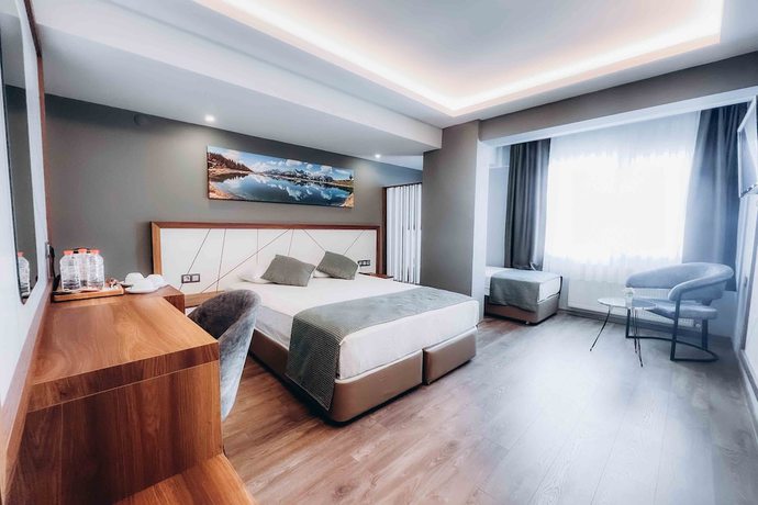 Imagen de la habitación del Hakcan Hotel. Foto 12