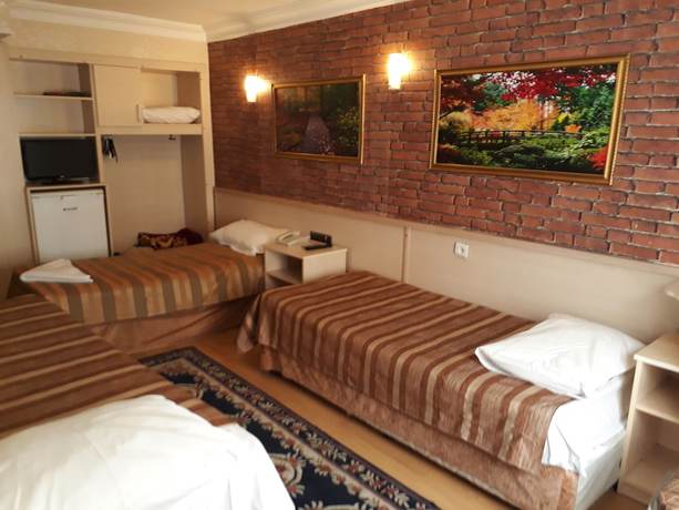 Imagen de la habitación del Hamit Hotel İstanbul. Foto 13