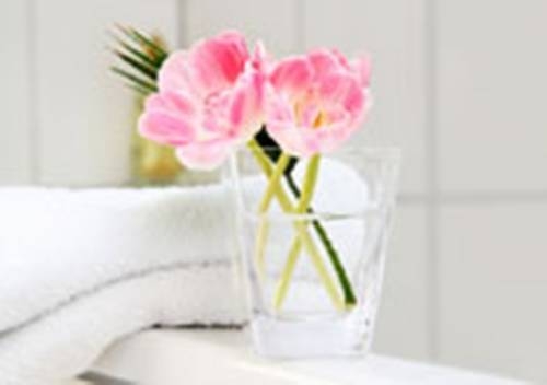 Imagen general del Hammerwirt - Forellenhof. Foto 6