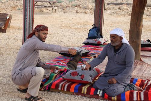 Imagen general del חאן נחל חווה Han Nahal Hava. Foto 13