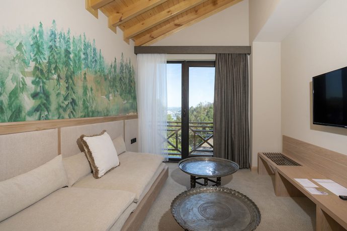 Imagen de la habitación del Hancioglu Camburnu Orman Evleri & Hotel. Foto 6