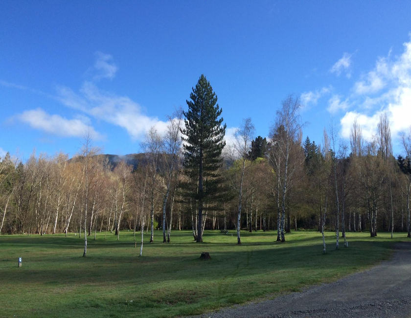 Imagen general del Hanmer Springs Forest Camp Trust. Foto 6