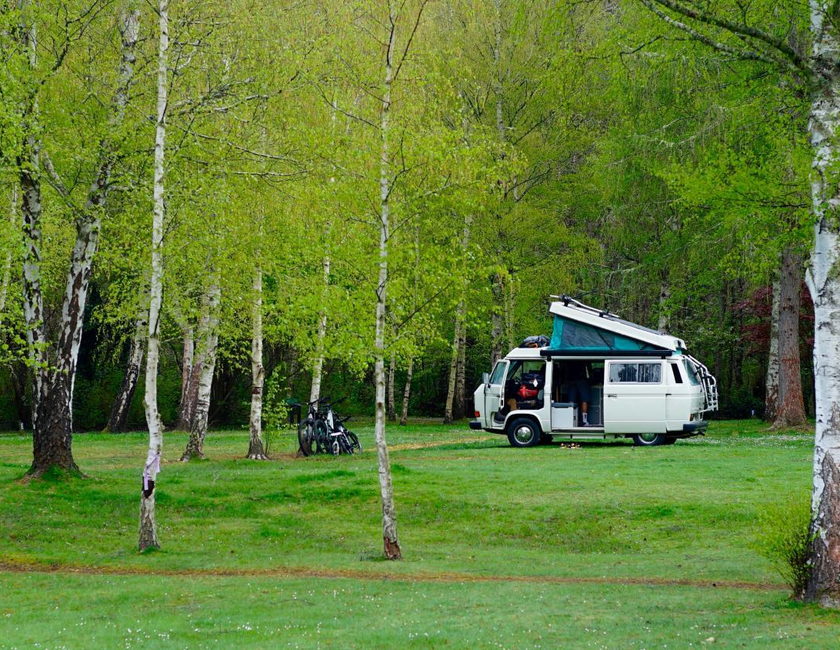 Imagen general del Hanmer Springs Forest Camp Trust. Foto 16