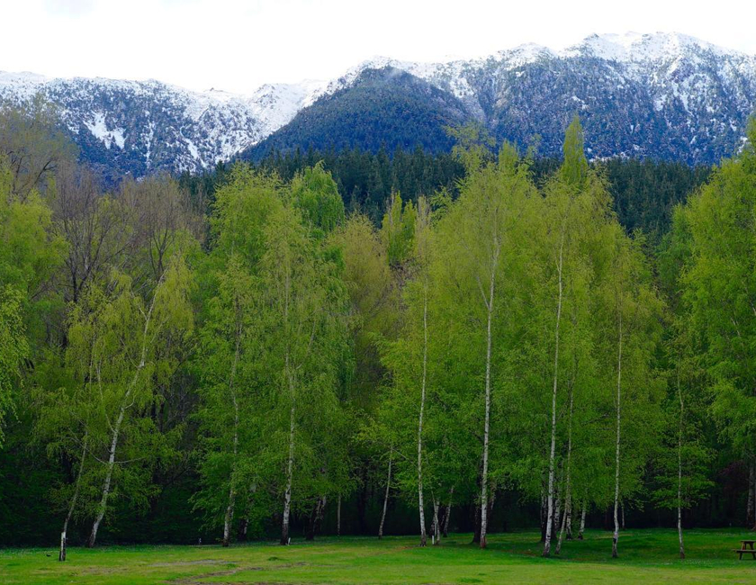 Imagen general del Hanmer Springs Forest Camp Trust. Foto 17