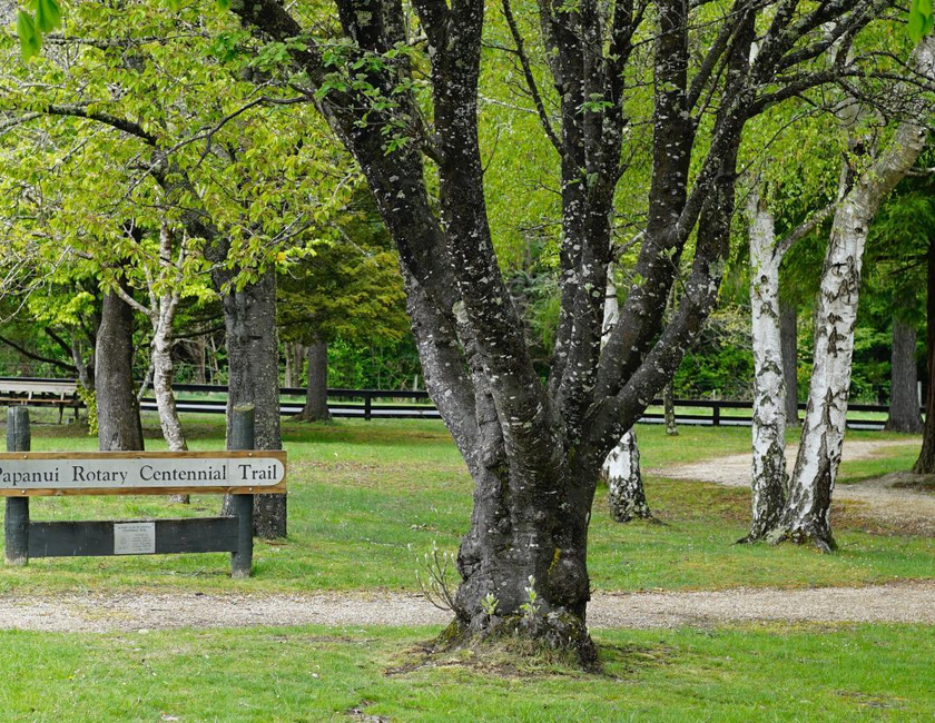 Imagen general del Hanmer Springs Forest Camp Trust. Foto 22