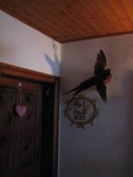 Imagen general del Hanserhof. Foto 17