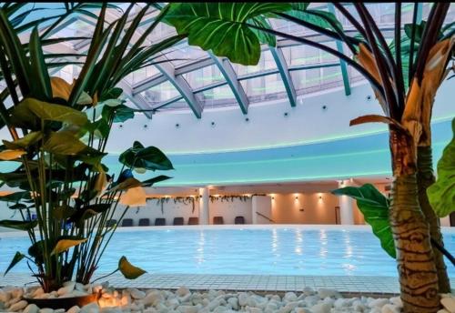 Imagen general del Hanza Tower BLACK Exclusive POOL JACUSI SAUNA. Foto 16
