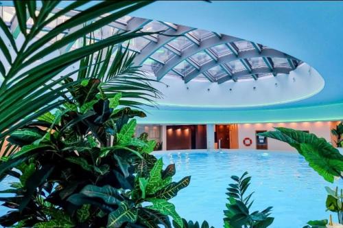 Imagen general del Hanza Tower Casino Sauna & Jacuzzi & Pool. Foto 11