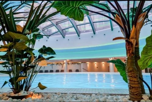 Imagen general del Hanza Tower Center Apartments POOL JACUSI SAUNA. Foto 13