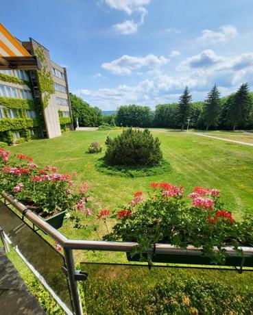 Imagen general del Harz Hotel Vogelberg. Foto 3