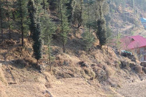 Imagen general del Hassan Valley Retreat. Foto 6