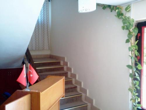 Imagen general del Hasyurt Hotel. Foto 2