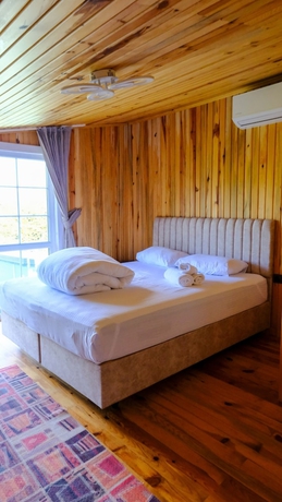 Imagen de la habitación del Hat Naturel Resort Sapanca. Foto 8