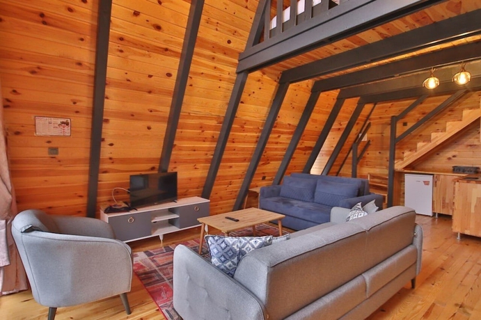 Imagen de la habitación del Hat Naturel Resort Sapanca. Foto 12
