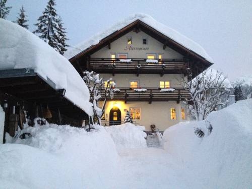 Imagen general del Haus Alpengruss. Foto 10