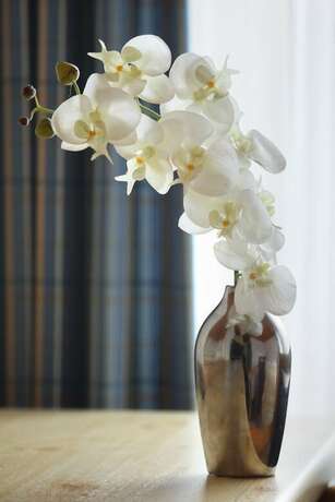 Imagen general del Haus Amedieck. Foto 6