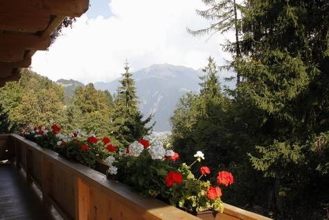 Imagen general del Haus Anfang. Foto 2