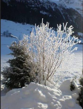 Imagen general del Haus Bergfreund. Foto 2