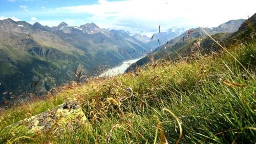 Imagen general del Haus Bergfrieden. Foto 7