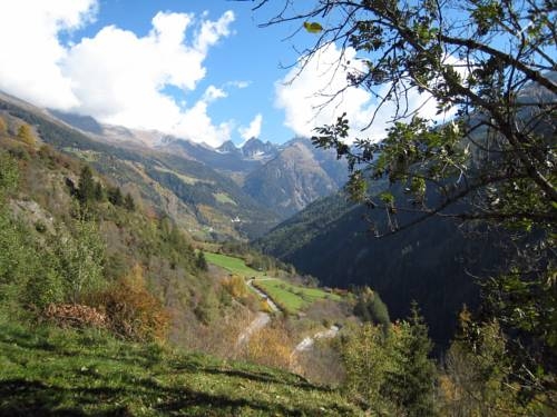 Imagen general del Haus Bergfrieden. Foto 14