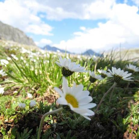 Imagen general del Haus Bergfrieden. Foto 16