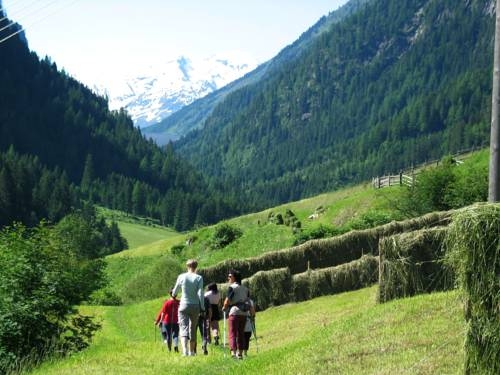 Imagen general del Haus Bergfrieden. Foto 18