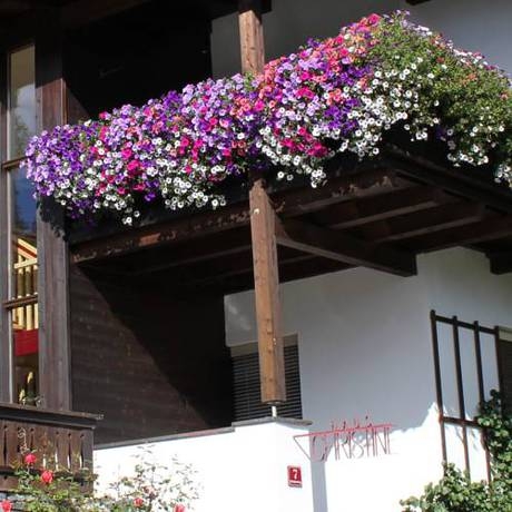 Imagen general del Haus Christine. Foto 5