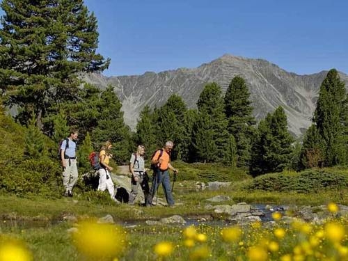 Imagen general del Haus Gfall. Foto 4