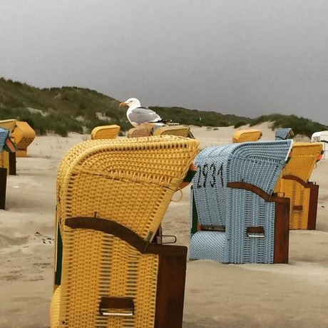 Imagen general del Haus Kap Horn. Foto 6