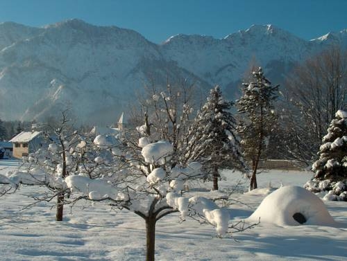 Imagen general del Haus Puntigam. Foto 3