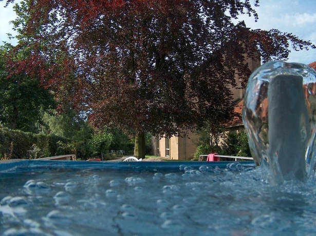 Imagen de la piscina del Haus Ridder. Foto 8