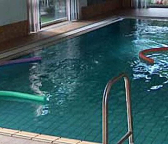 Imagen de la piscina del Haus Ridder. Foto 9