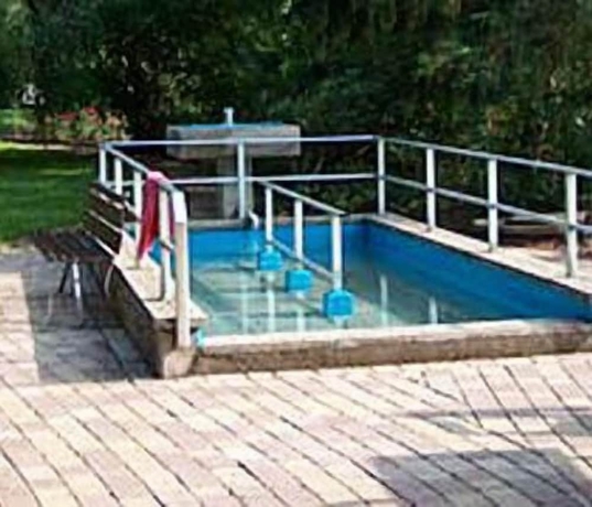 Imagen de la piscina del Haus Ridder. Foto 10