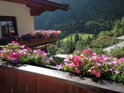 Imagen general del Haus Schmalzl. Foto 9